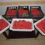 Bio-ecologico Sant'isidoro Gospodarstwo wiejskie