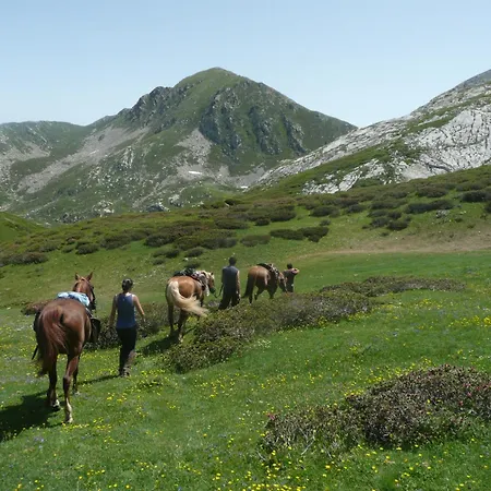 Bio-ecologico Sant'isidoro Roccaforte Mondovì