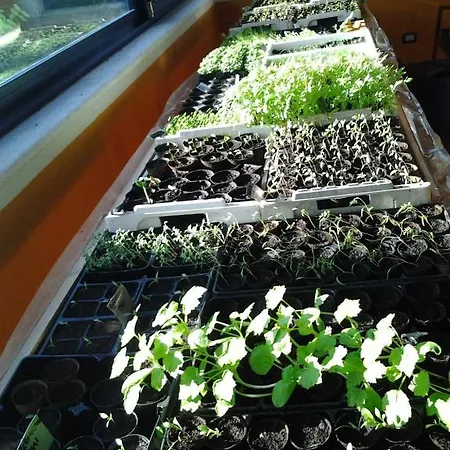 Kır Evi Bio-ecologico Sant'isidoro *