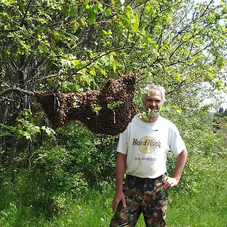 Bio-ecologico Sant'isidoro *