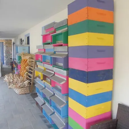Casa di campagna Bio-ecologico Sant'isidoro