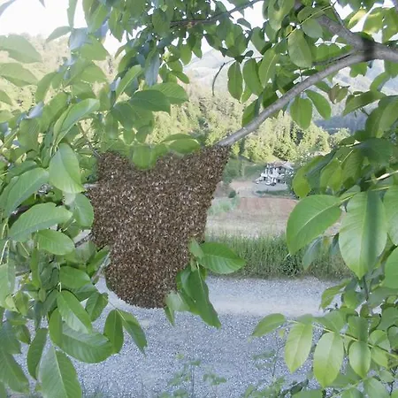 Bio-ecologico Sant'isidoro Roccaforte Mondovì