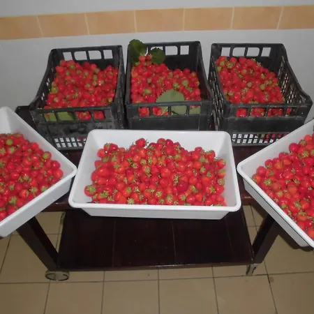 Bio-ecologico Sant'isidoro Casa di campagna