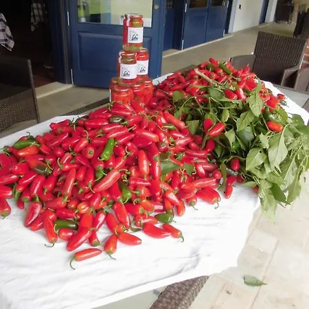 Kır Evi Bio-ecologico Sant'isidoro Roccaforte Mondovì