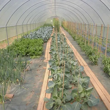 Bio-ecologico Sant'isidoro