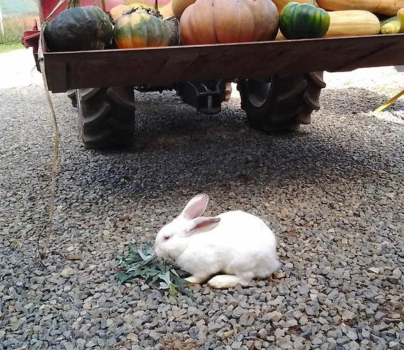 Bio-ecologico Sant'isidoro *
