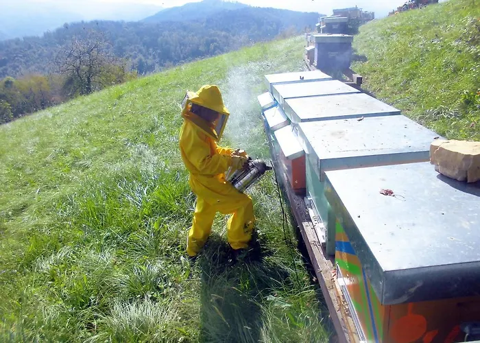 Landhuis Bio-ecologico Sant'isidoro Roccaforte Mondovì