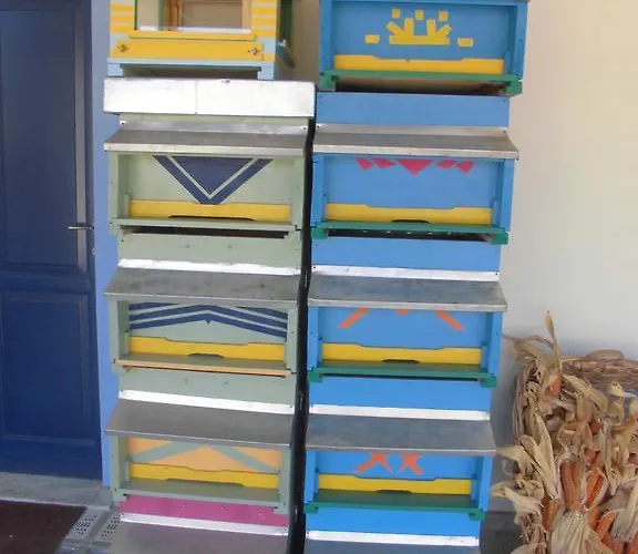 Bio-ecologico Sant'isidoro Country house Roccaforte Mondovi