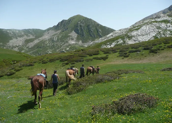 Bio-ecologico Sant'isidoro Roccaforte Mondovì