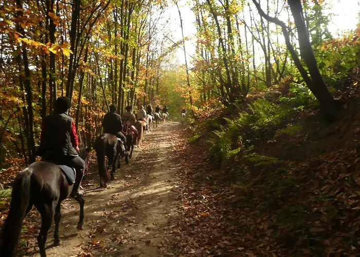 Landhuis Bio-ecologico Sant'isidoro