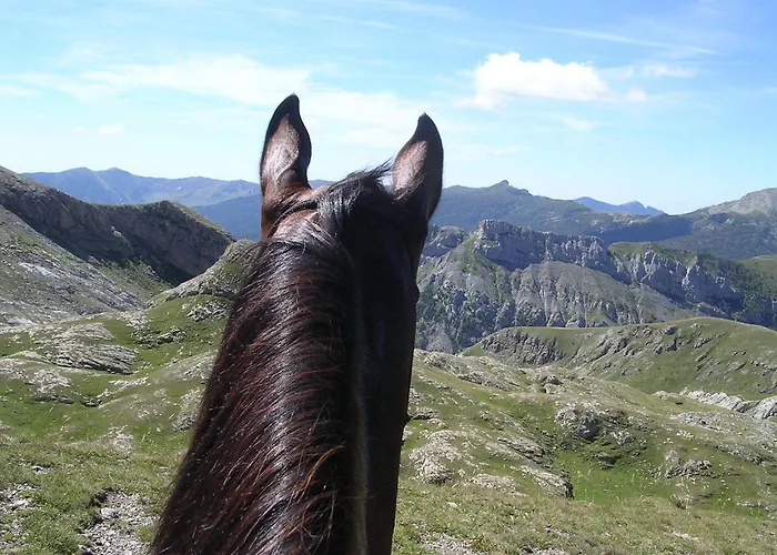 منزل ريفي Agriturismo Bio-ecologico Sant'isidoro Roccaforte Mondovì