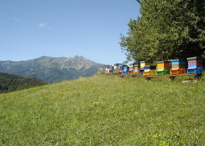 Agriturismo Bio-ecologico Sant'isidoro