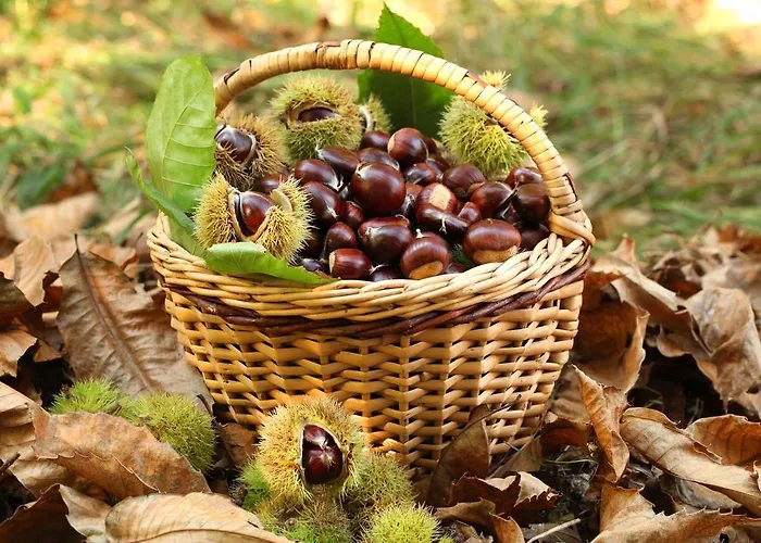 Bio-ecologico Sant'isidoro Landhuis Roccaforte Mondovì