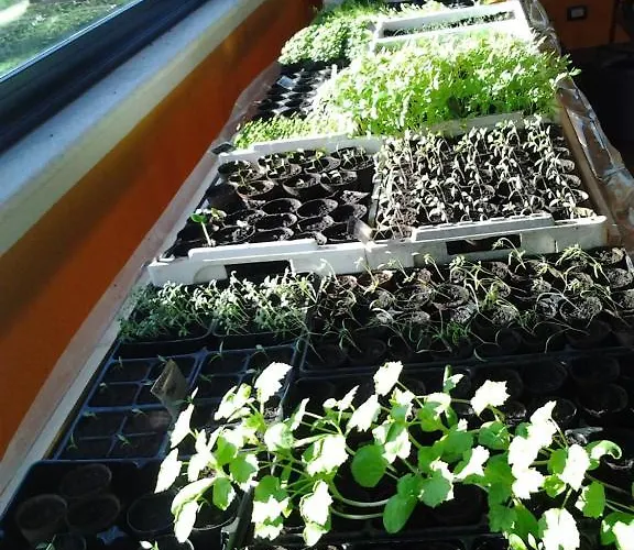 Landhuis Bio-ecologico Sant'isidoro *