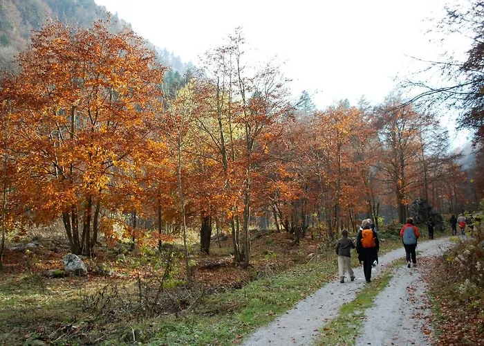 Bio-ecologico Sant'isidoro Landhuis