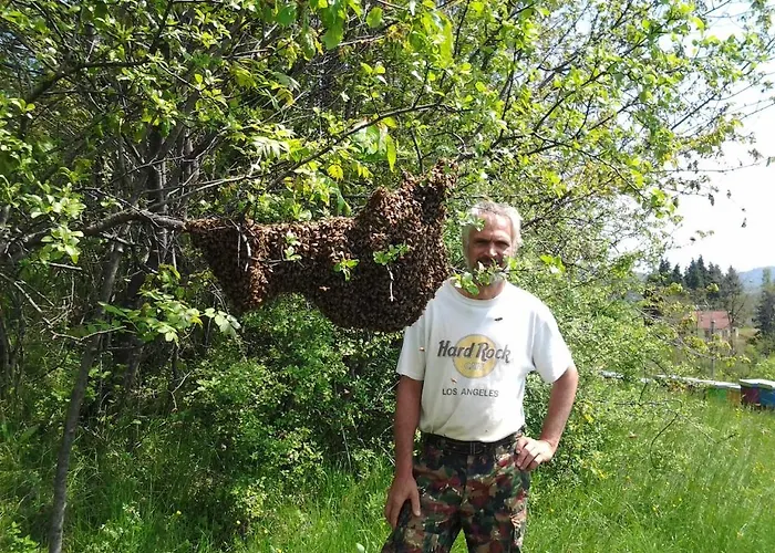 Bio-ecologico Sant'isidoro *