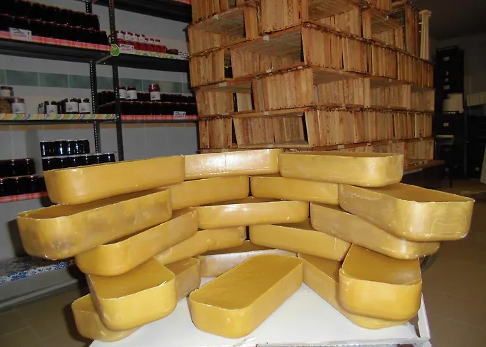 Bio-ecologico Sant'isidoro Country house *