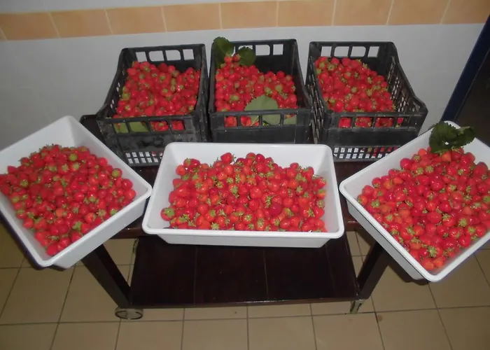 Bio-ecologico Sant'isidoro Country house