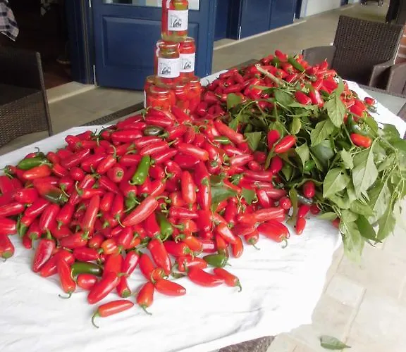 Landhuis Bio-ecologico Sant'isidoro Roccaforte Mondovì