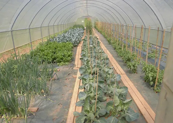Agriturismo Bio-ecologico Sant'isidoro