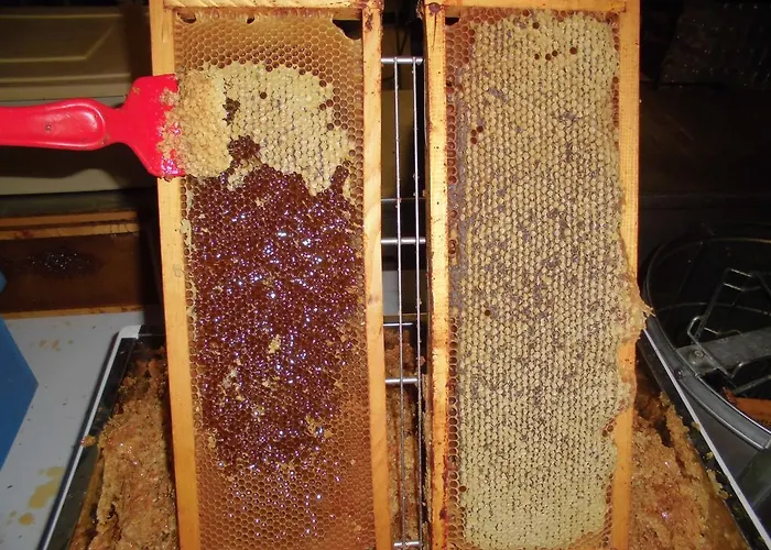 Landhuis Bio-ecologico Sant'isidoro *